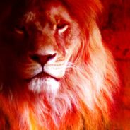 Tarot by Jacqueline – Lion’s Gate Portal Candle Service August 8, 2025